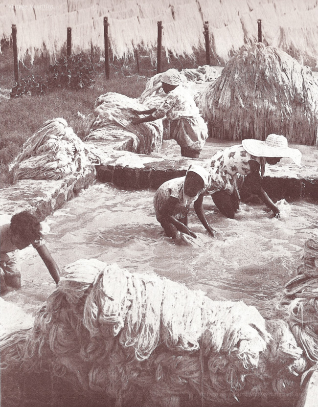GRNW - Women Washing Aloes Fibres for Gounis Bags in the River