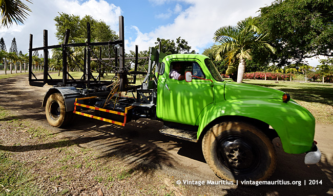 Green Bedford Lorry J6 - Mon Desert Alma - St Pierre - Cane Harvest Mauritius
