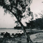 Port Louis – Cassis – Bain des Dames – 1960s