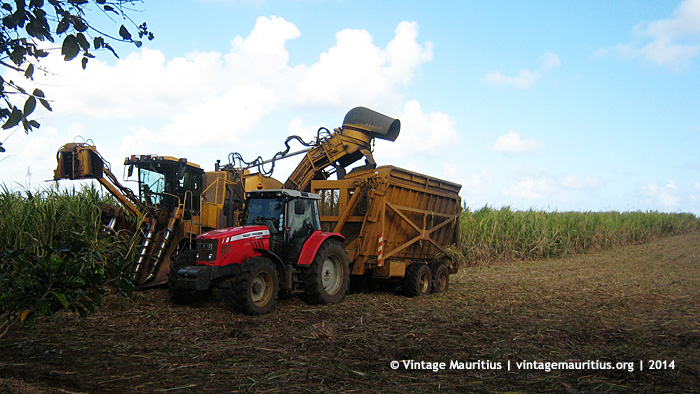 Sugar Cane Harvest by Machinery - Mauritius - 2010