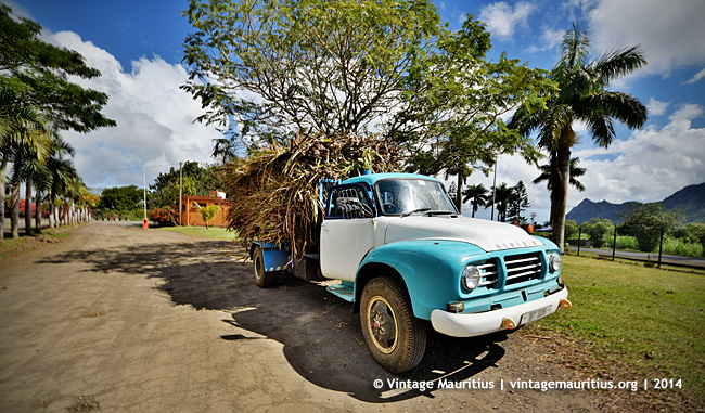 Turquoise Bedford Lorry J6 - With Sugar Cane Load - Mon Desert Alma - Mauritius