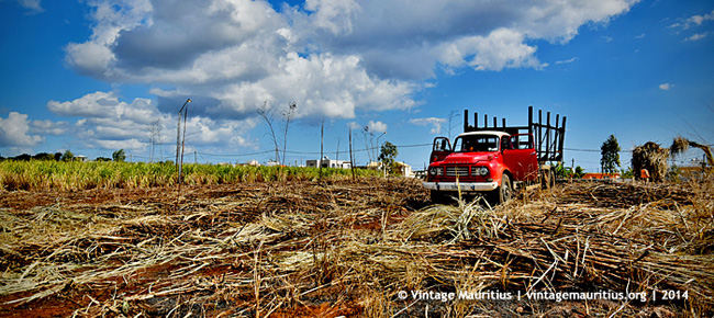 Vintage Bedford J6 Lorry at Petite Riviere, Mauritius - Sugar Cane Harvest