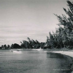 Grand Bay Beach – Unspoilt, untouched and wild – 1960s