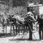 Vintage Transport: Mule-drawn Carriage and Photographers – 1896