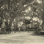 Port Louis – Jardin de la Compagnie – Company Garden – 1899